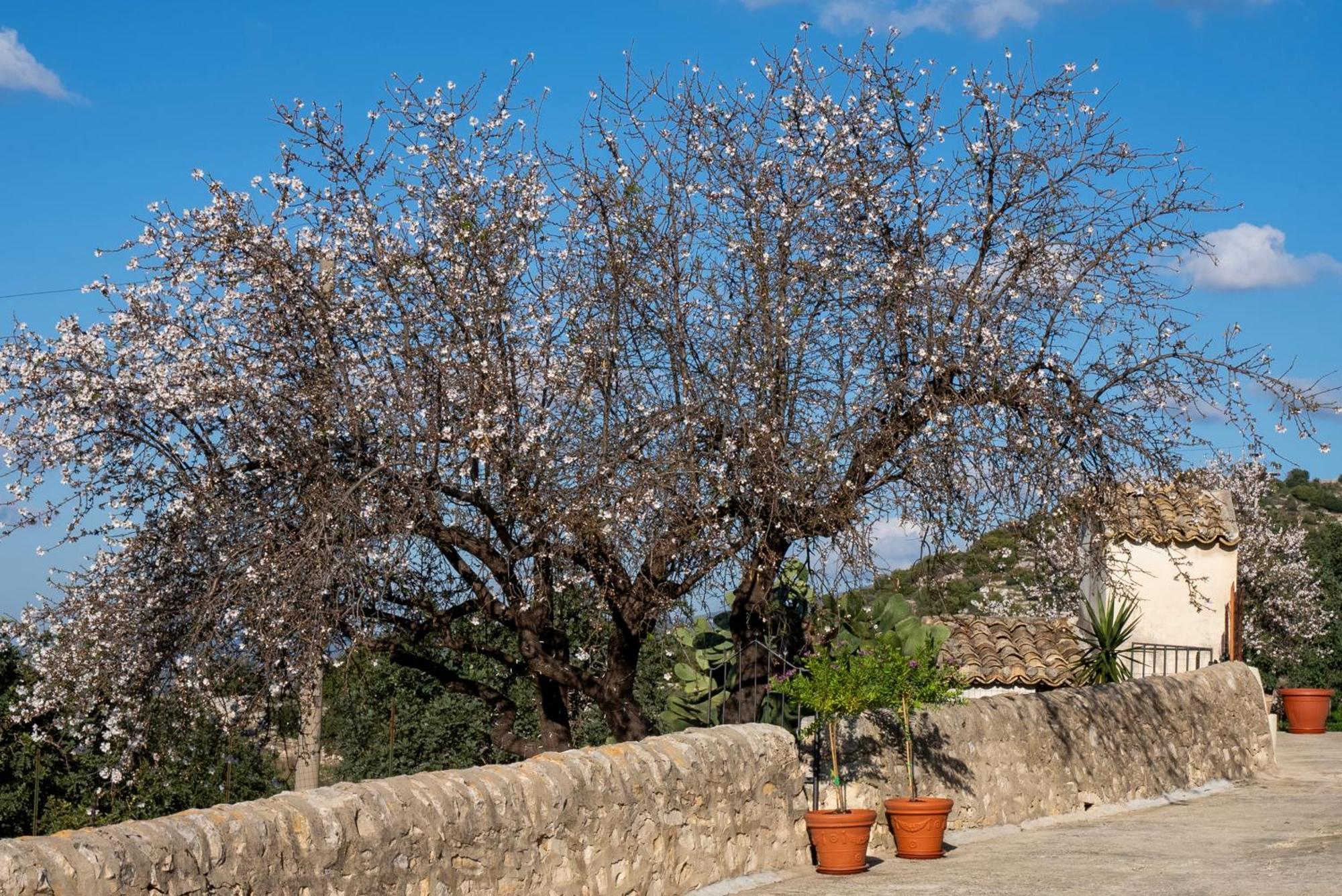 La Dimora Delle Coste Apartment Comiso Luaran gambar